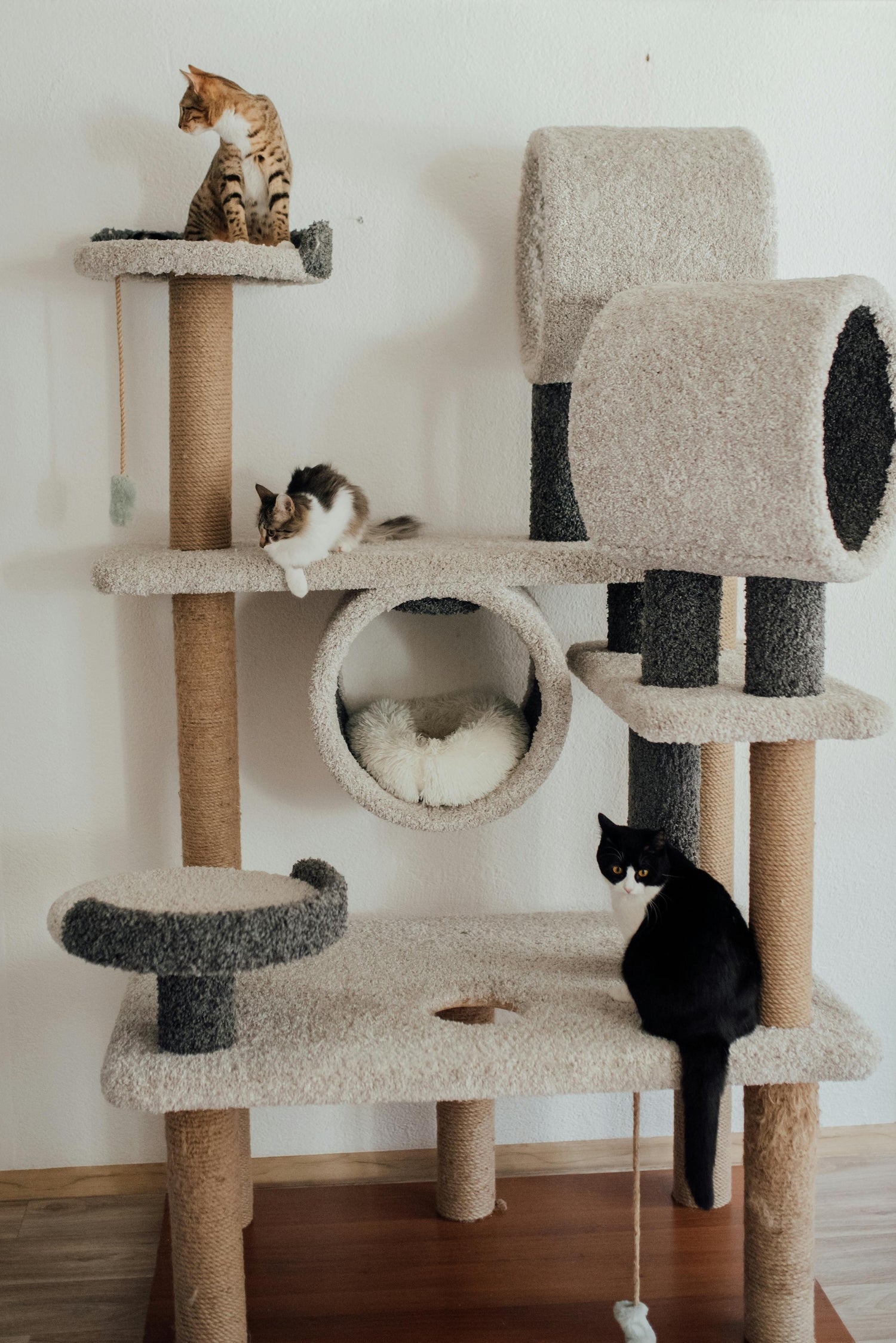 Cat Trees