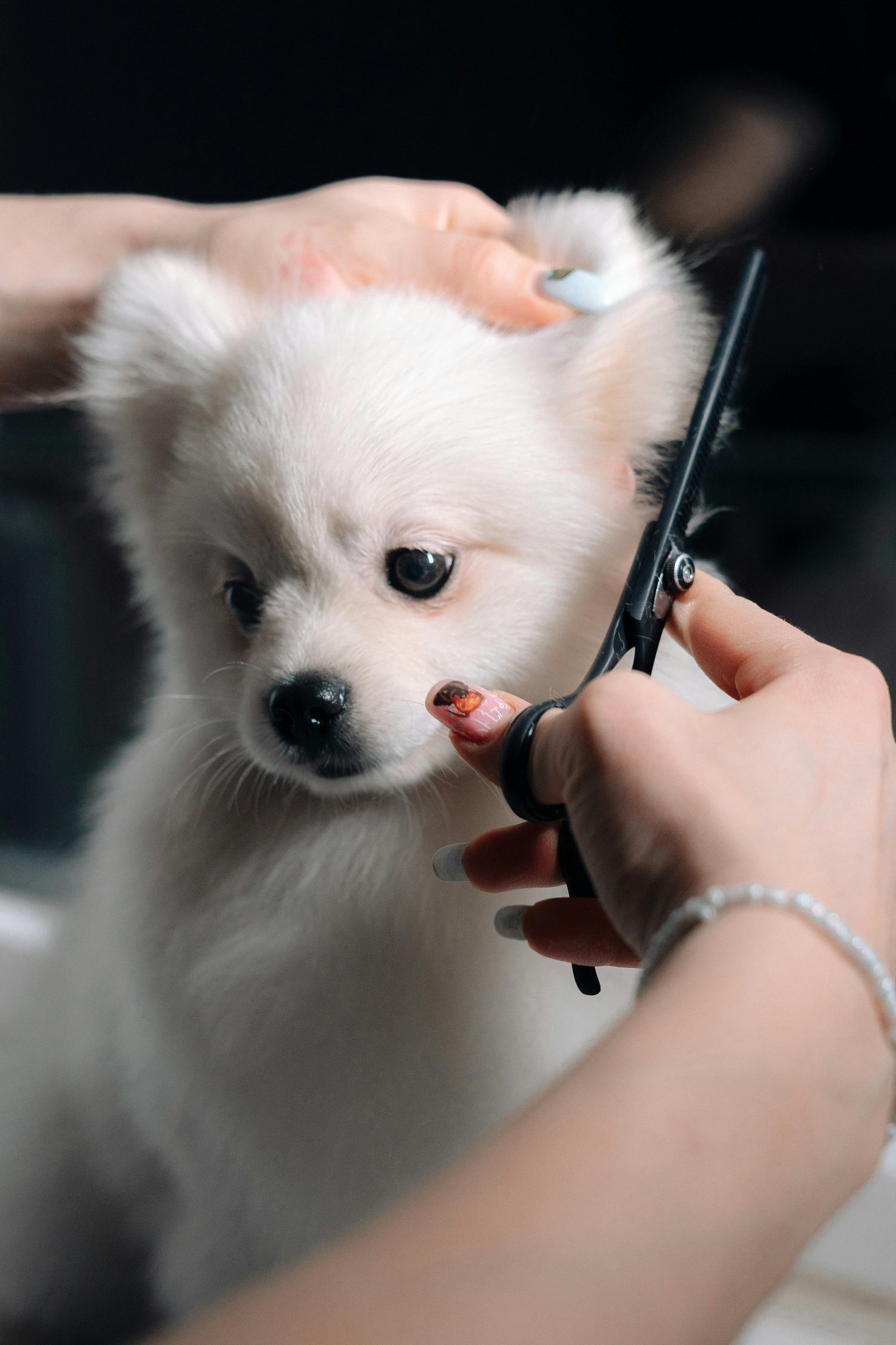 Grooming & Hygiene