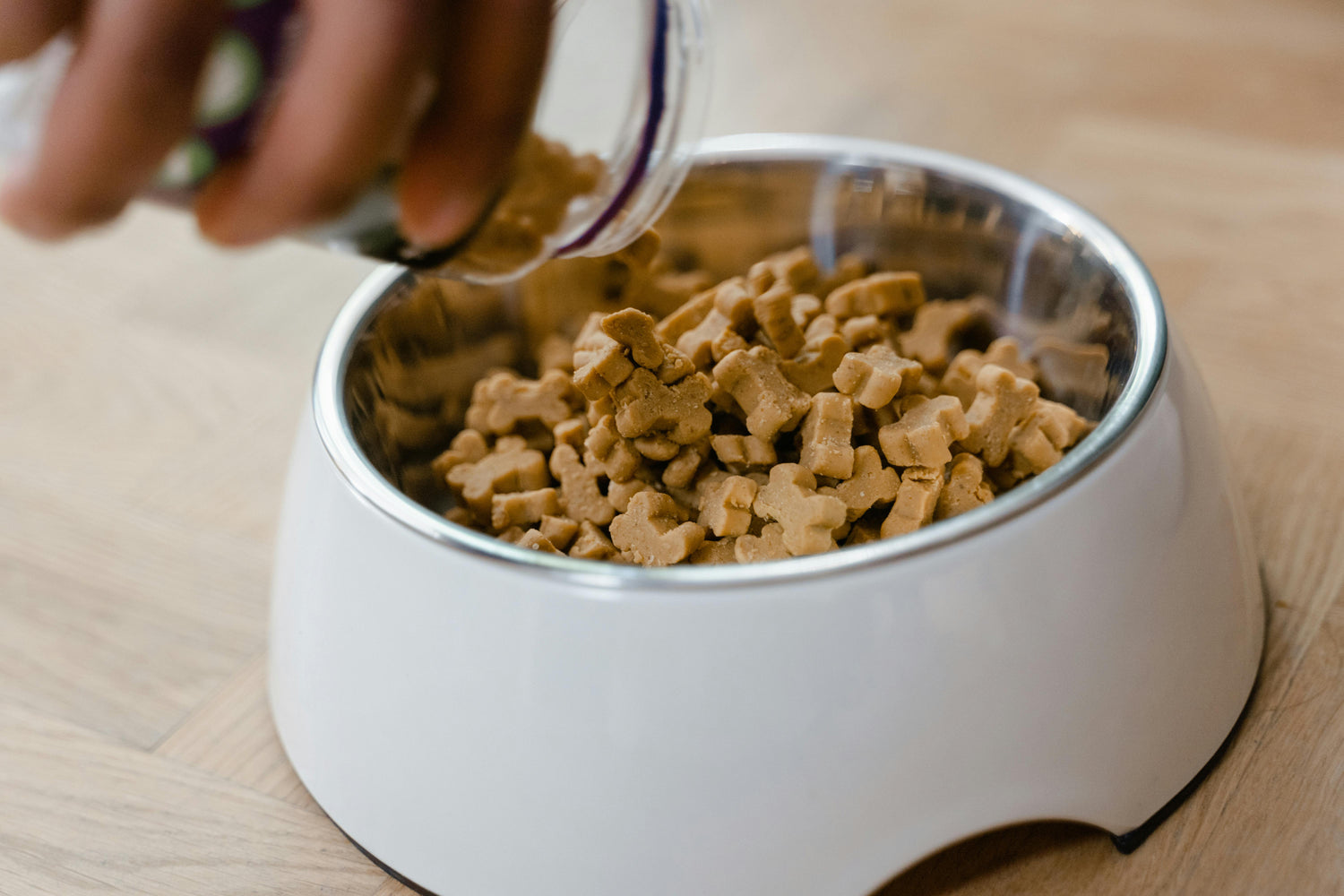 Pet Dining Essentials