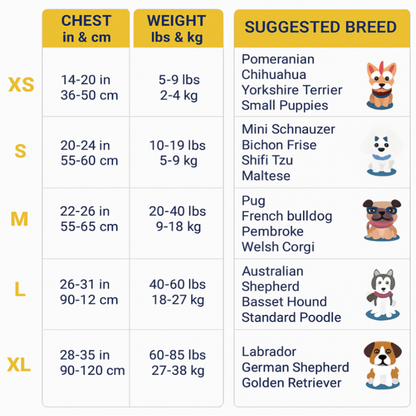 Personalized Dog Harness