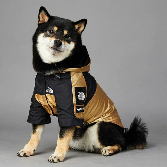 Raincoat For Small Big Dogs