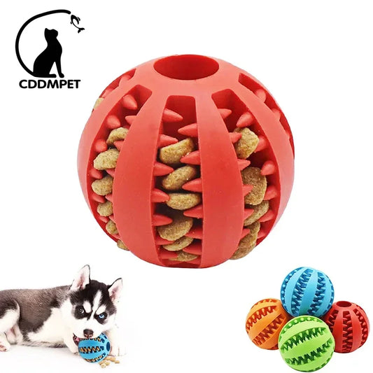Dog Treat Ball Toy