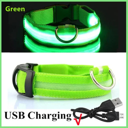 LED Glowing Dog Collar Adjustable