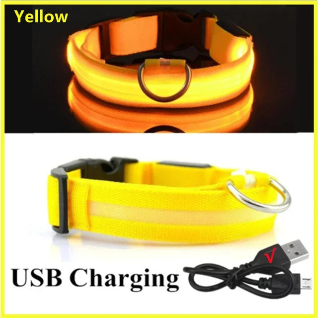 LED Glowing Dog Collar Adjustable