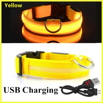 LED Glowing Dog Collar Adjustable