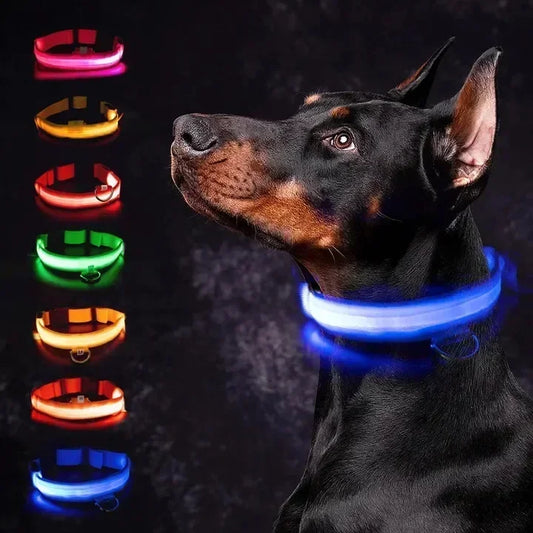 LED Glowing Dog Collar Adjustable