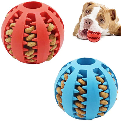 Dog Treat Ball Toy