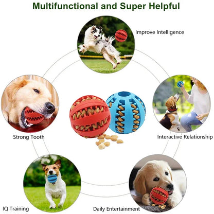 Dog Treat Ball Toy