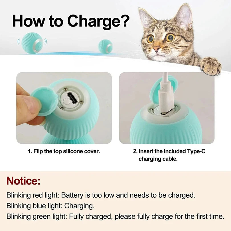 PetGravity Interactive Cat Toy