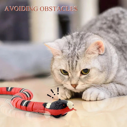 PetGravity Interactive Cat Toy