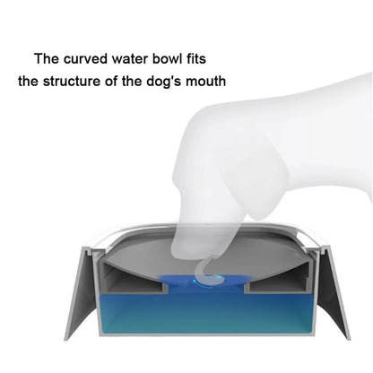 Custom Anti-Splash Pet Water Bowl