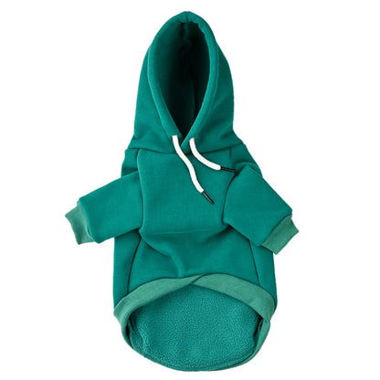 Pet Hoodie