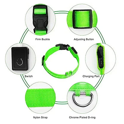 LED Glowing Dog Collar Adjustable