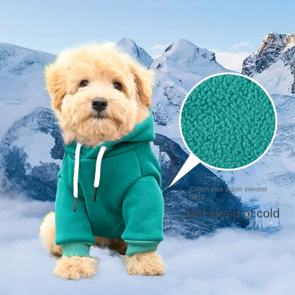 Pet Hoodie