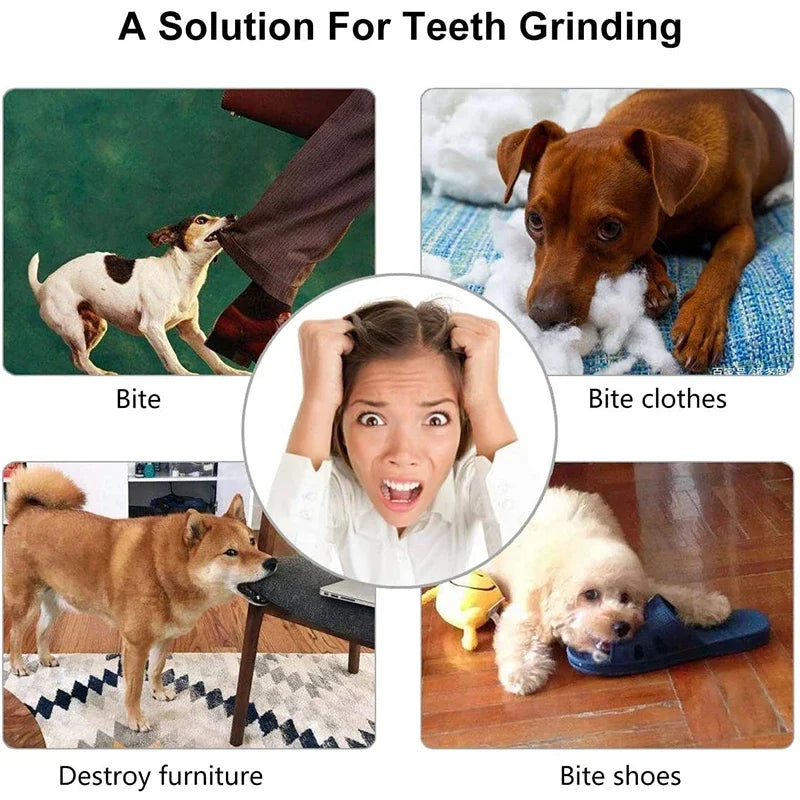 Dog Treat Ball Toy