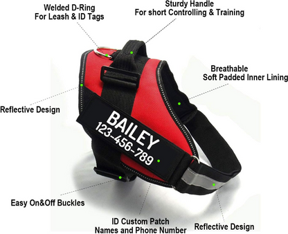 Personalized Dog Harness