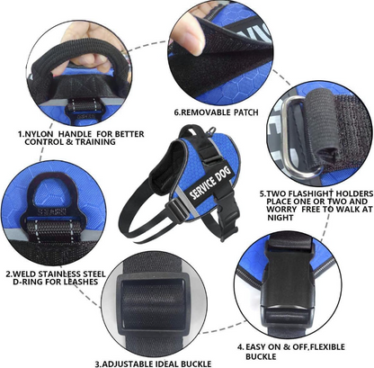 Personalized Dog Harness
