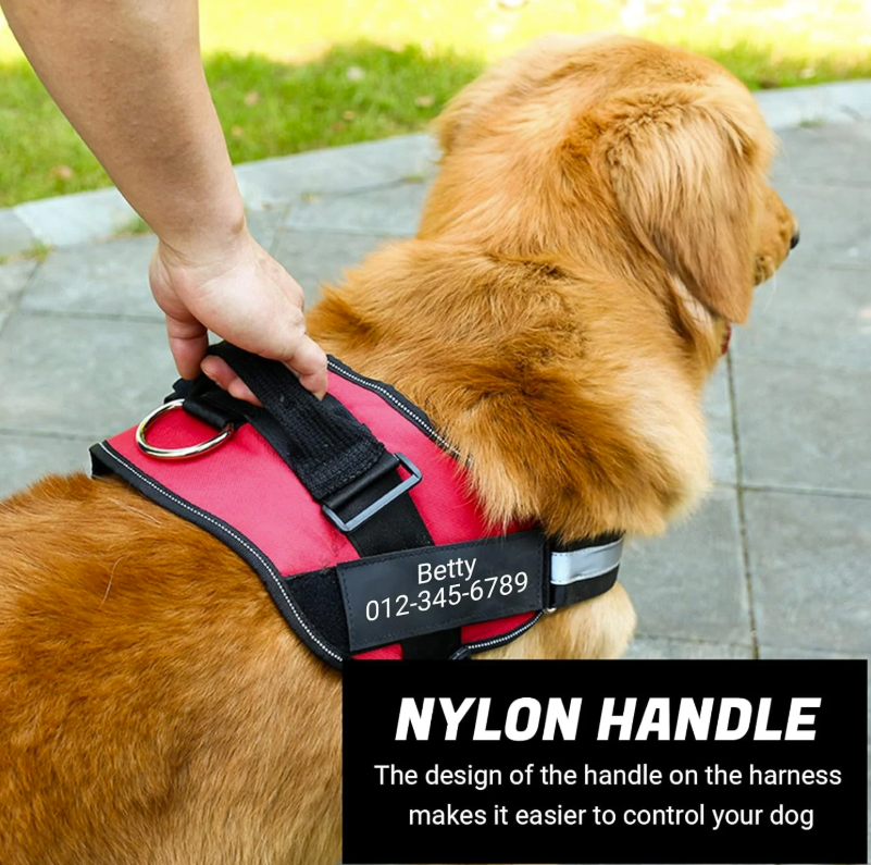 Personalized Dog Harness