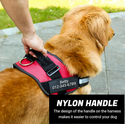 Personalized Dog Harness