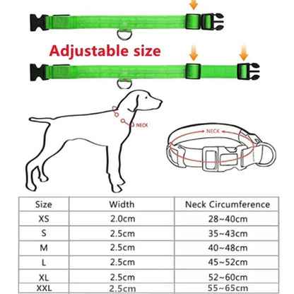 LED Glowing Dog Collar Adjustable