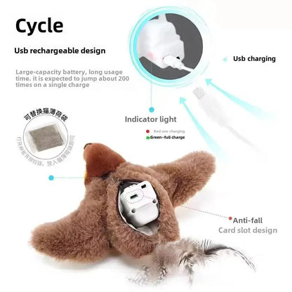 Interactive Bird Cat Toy