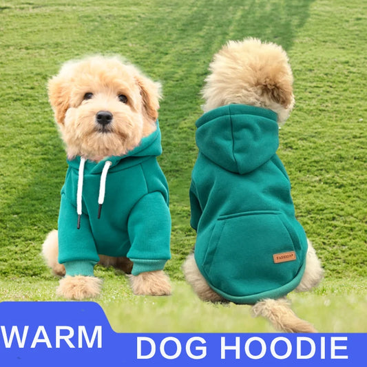 Pet Hoodie