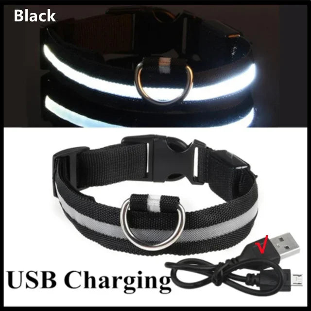 LED Glowing Dog Collar Adjustable