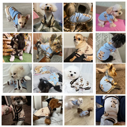 Luxury Pet sweater
